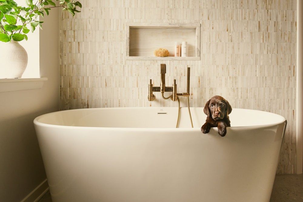 Interiors By Seashal Basement Suite Reno Photo Erin Kelly Web 17